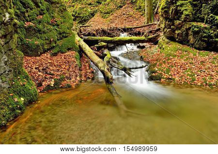 Autumn flowing mountain stream waterfall in Slovakia. Colored leafs on moss rock. Fresh natural water.