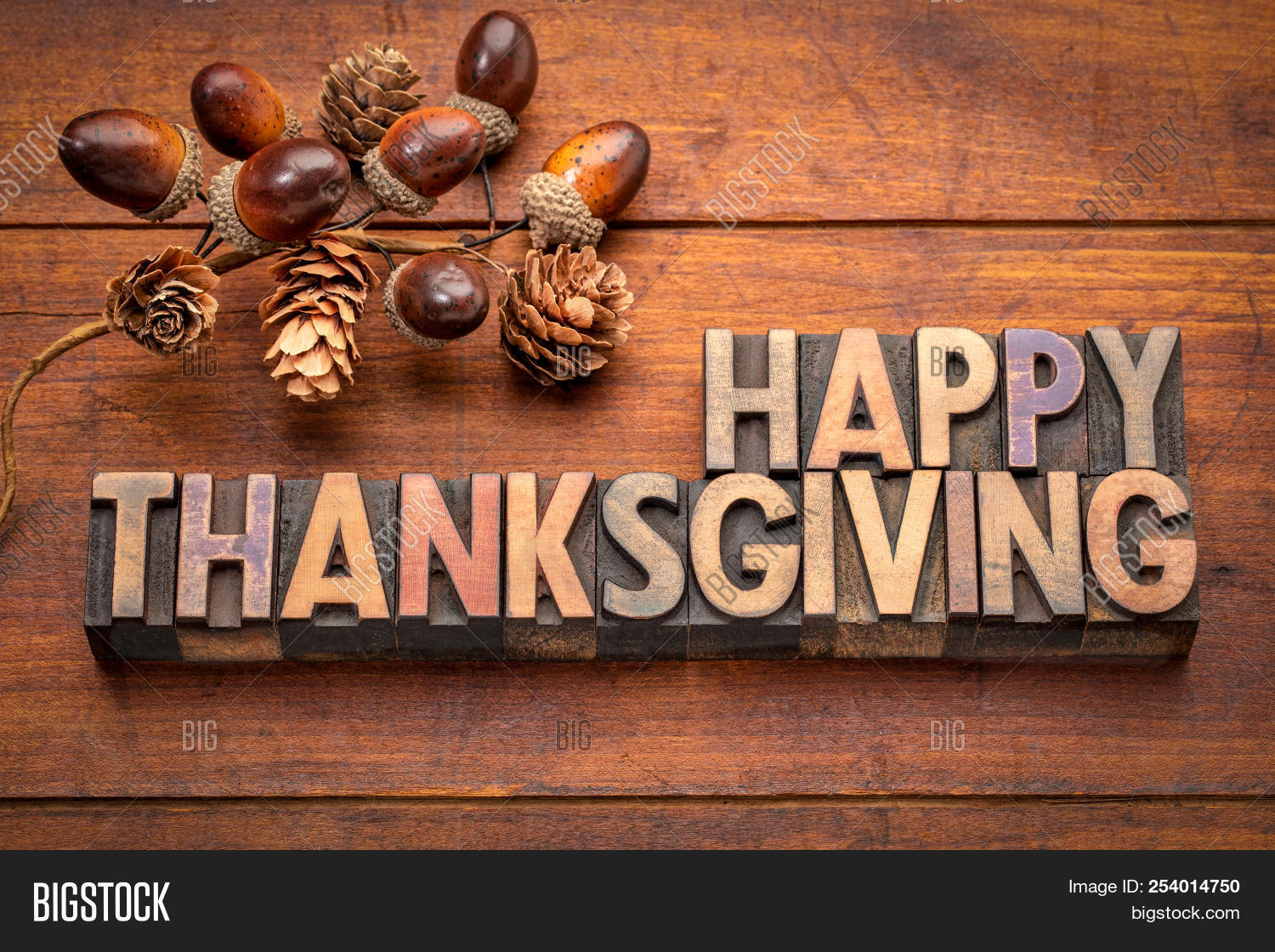 Happy Thanksgiving Image Photo Free Trial Bigstock