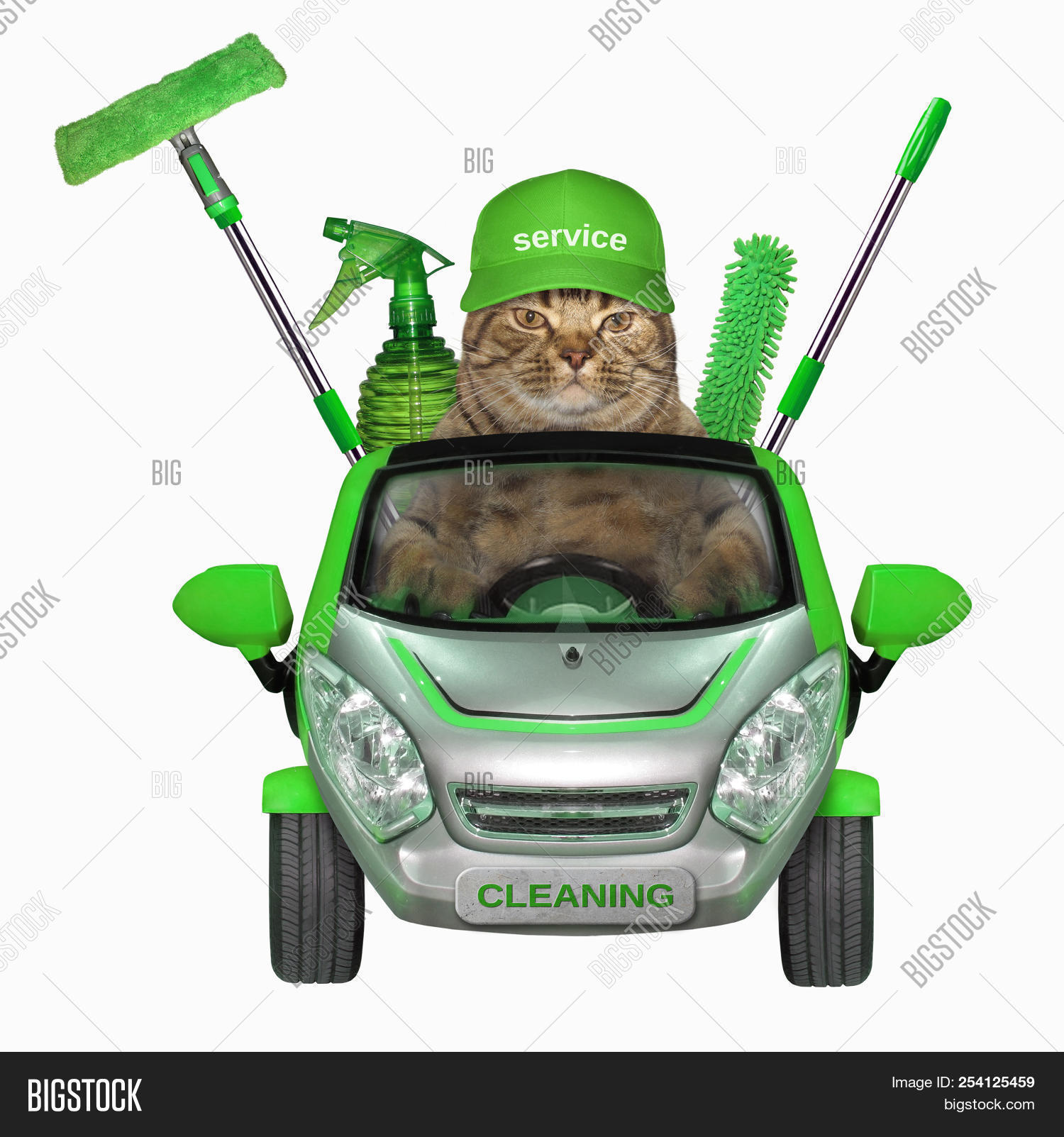 Cat Green Cap Car Image & Photo (Free Trial) Bigstock