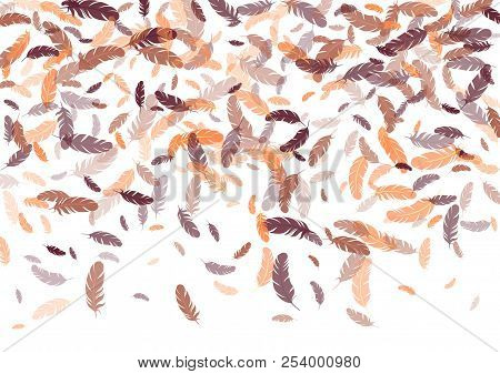 Feather Ethnic Background Vector Print.  Brazilian Background With Plumelet. Flying Feather Elements