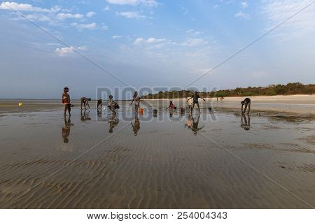 Orango Island, Guinea-bissau - February 2, 2018:  Group Of Children Collecting Cockles In The Beach 