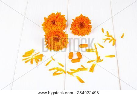 Medical Preparations Based On Medicinal Herbs. Flowers Of Calendula Marigold