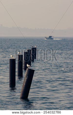 Seagulls Sitting On The Pier Pillars In The Adriatic Sea With Boat In Background