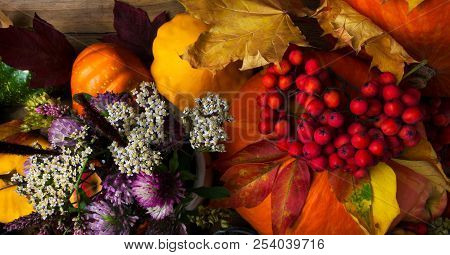 Fall Pumpkins, Yellow And Red Leaves