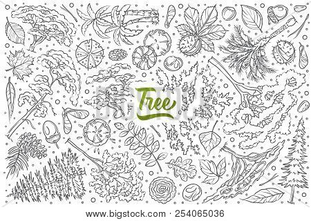 Hand Drawn Tree Set Doodle Vector Background