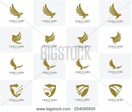 Set Of Eagle Logo Vector