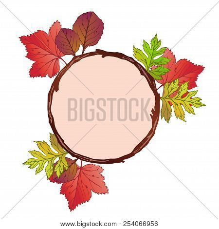 Vector Frame With Red, Brown, Green And Yellow Autumn Leaves.