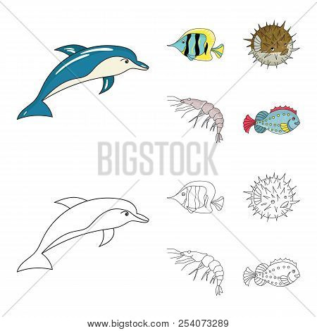 Shrimp, Fish, Hedgehog And Other Species.sea Animals Set Collection Icons In Cartoon, Outline Style 