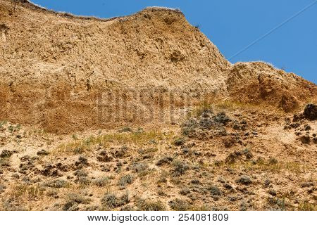 wildflowers on high coast by the sea, beautiful coastal landscape, travel concept