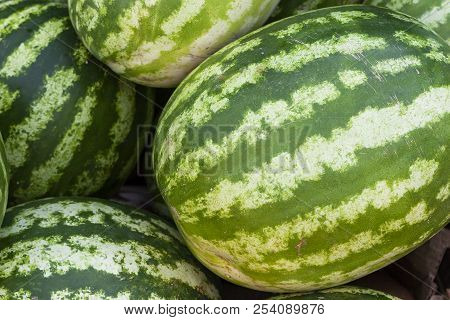 Market Counter With Delisios Watermelons.