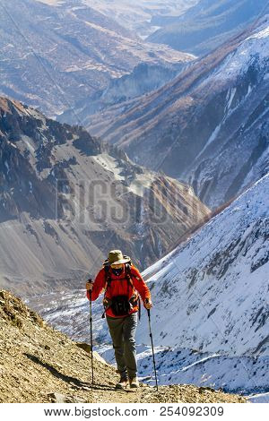 Annapurna, Nepal - November 13, 2015: Tourist Going Up On The Way To Thorong La Pass (5416 M), Annap