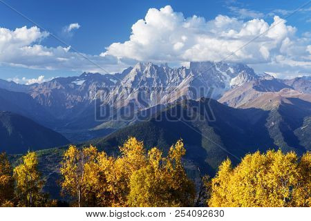 Autumn landscape. Top Ushba in clouds. Birch forest on the hillside. View from Mount Mkheer. Main Caucasian ridge. Zemo Svaneti, Georgia 