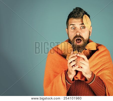 Hipster Or Guy In Autumn On Blue With Tea Cup Or Mulled Wine. Season And Autumn. Man With Natural Ye