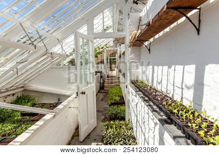 Glasshouse Seedlings Plants Cultivation.in The English Lost Gardens Of Heligan
