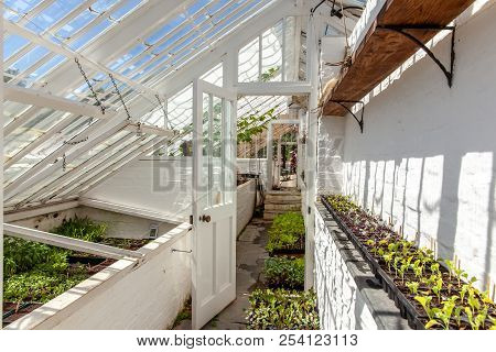 Glasshouse Seedlings Plants Cultivation.in The English Lost Gardens Of Heligan