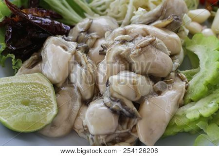 Group Of Raw Fresh Pacific European Big Oysters / Close-up Jelly Animal From Ocean At Seafood Restau