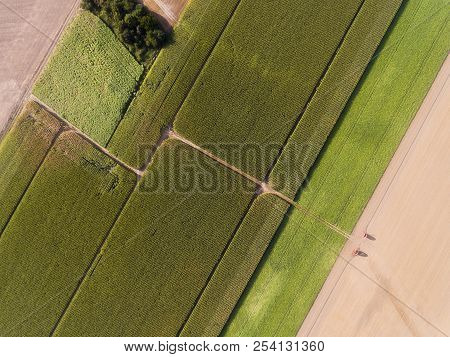 Shapes In The Field, Richarville, Essonne, France