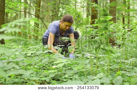 Woman Ecologist Taking Samples Of A Soil