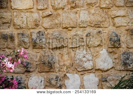 Background Stone Wall With Green Twigs And Pink Flowers