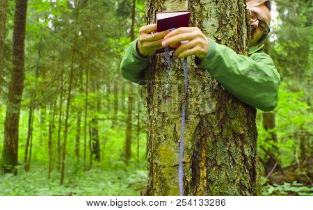 The Ecologist In A Forest Measuring A Tree Trunk