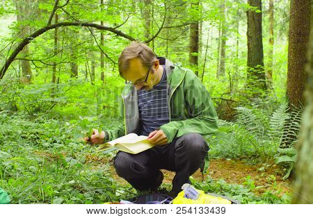The Ecologist In A Forest Examining Plant