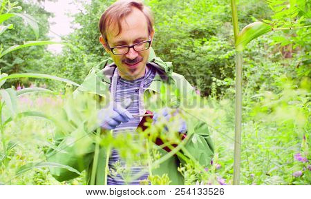 The Ecologist In A Forest Examining Plant