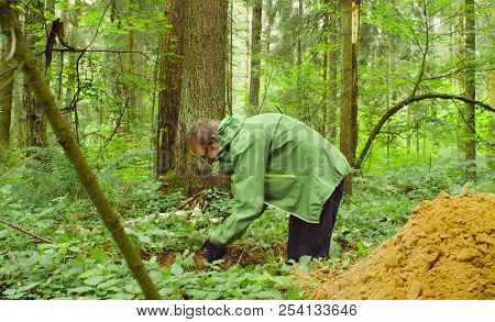 Scientist Ecologist In A Forest Digging Soil Slit