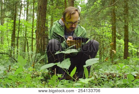 The Ecologist In A Forest With Smart Phone