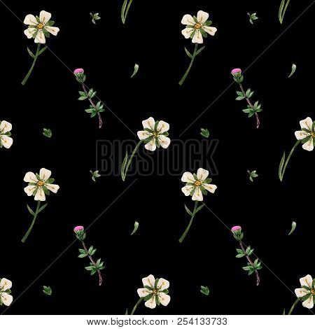 Wild Plants Of Scotland Seamless Pattern. Heather And Arctic Stitchwort Flowers. Watercolor On A Bla