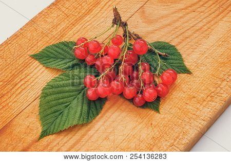 Branch Of Red Currant With Leaves On Wooden Chopping Board