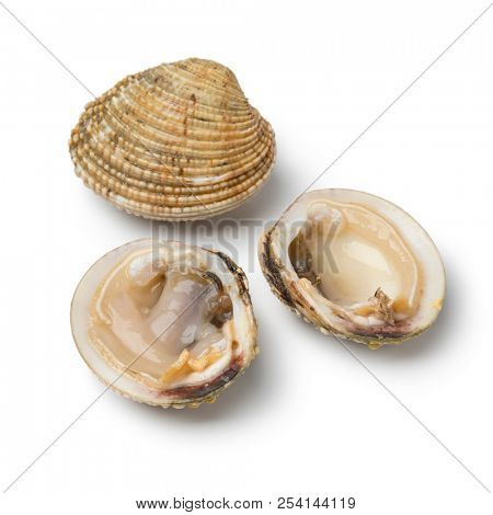 Open and closed fresh raw warty venus clam isolated on white background