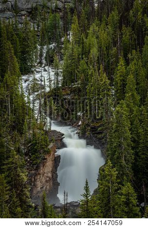 Beartooth River And Falls Through Lush Pine Trees