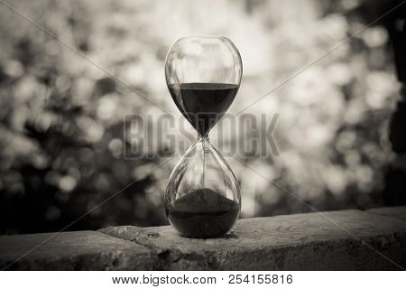 Hourglass In The Green Garden. Black And White Phono.  Symbol Of The Fast Flow Of Time