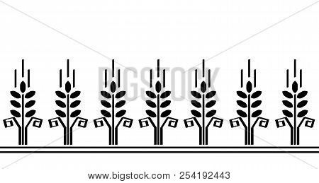 Graphic Wheat Seamless Pattern. Stylish Agro Or Bakery Background. Design For Textile, Packaging, Ve