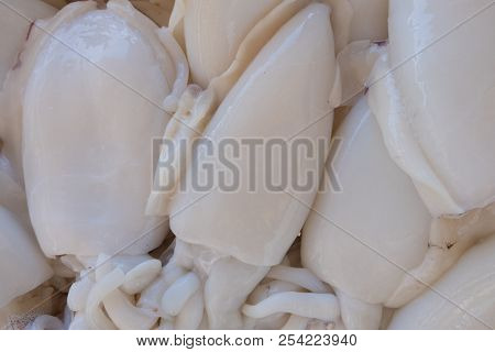 White Cuttlefish Also Called Sepia Or Squid At A Street Organic Market.