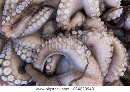 Fresh Octopus At A Street Organic Market.