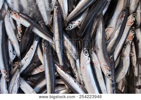 Fresh Anchovies At A Street Organic Food Market.