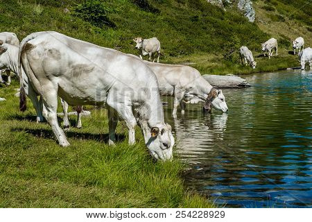 The Lake Of Rocca La Meja Called 