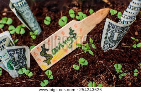 Banking Growing Money Financial Planning And Savings How To Grow Money Dollars And Cash Value Concep