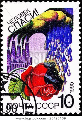Environmental Air Pollution Acid Rain Rose
