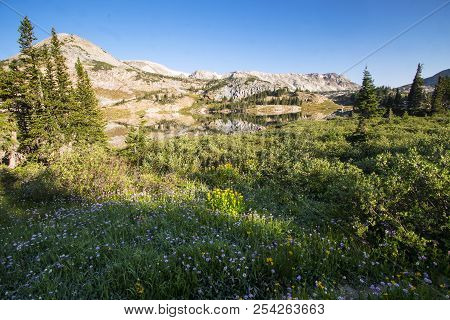 Sugarloaf Mountain And Medicine Bow Peak Reflected In Libby Lake  In Medicine Bow National Forest In