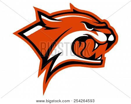tiger sports logo, Tiger icon isolated on white background, Tiger icon trendy and modern symbol for graphic and web design, Tiger icon flat vector