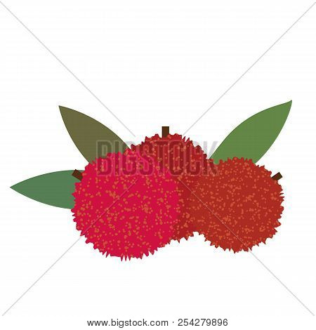 Healthy Organic Bayberry, Colorful Tropical Nature Fresh Fruit Objects.