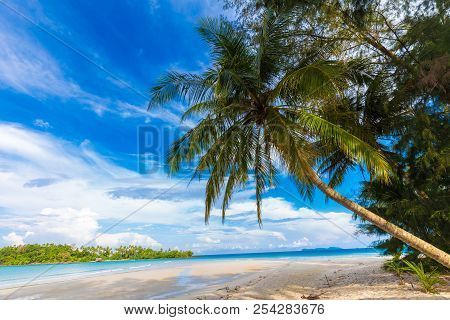 Paradise Idyllic Sea Beach With Coconut Palm Tree