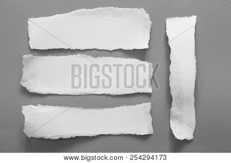 White Torn Paper On Gray Background. Collection Paper Rip