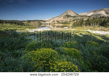 Sugarloaf Mountain And Medicine Bow Peak Reflected In Libby Lake  In Medicine Bow National Forest In