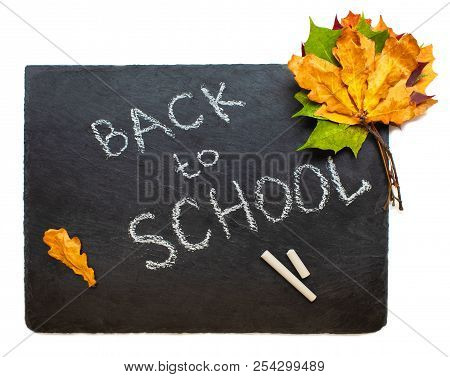Back To School Concept. Black Chalkboard With Pieces Of Chalks And Autumn Yelllow Leaves Isolated On