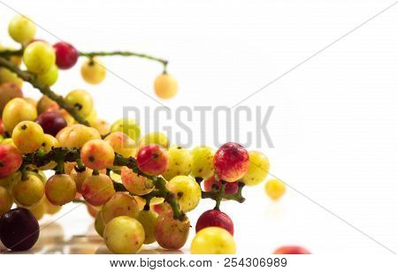 Thai Blueberry Isolated On White Background. Food Codcept