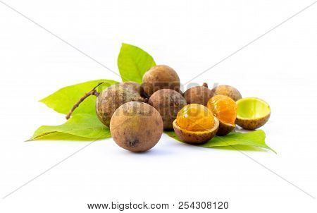 Ceylon Oak Isolated On White Background.food Concept