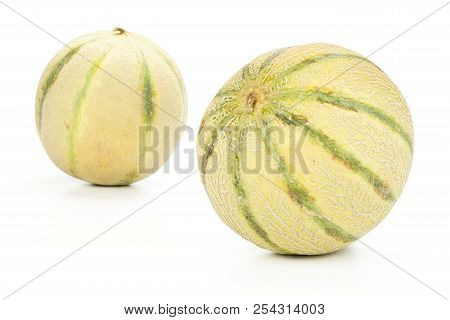 Group Of Two Whole Fresh Melon Cantaloupe Variety Front In Focus Isolated On White Background